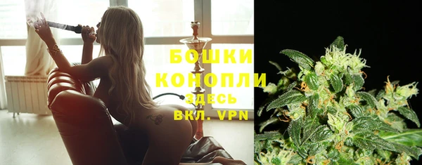 соль ск Семёнов