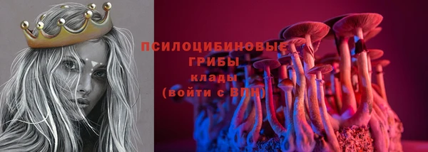соль ск Семёнов