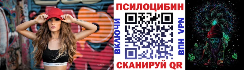 Псилоцибиновые грибы мицелий  Купить  Ардатов 